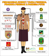 Persiapan Mental dan Fisik untuk Setiap Level Keanggotaan